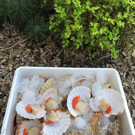 Na Vasi Restavracija In Prenocisca Отель 4*