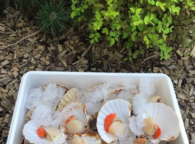 Na Vasi Restavracija In Prenocisca 호텔 4*